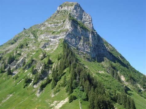 Superbe 3.5 Avec Cheminee Appartement