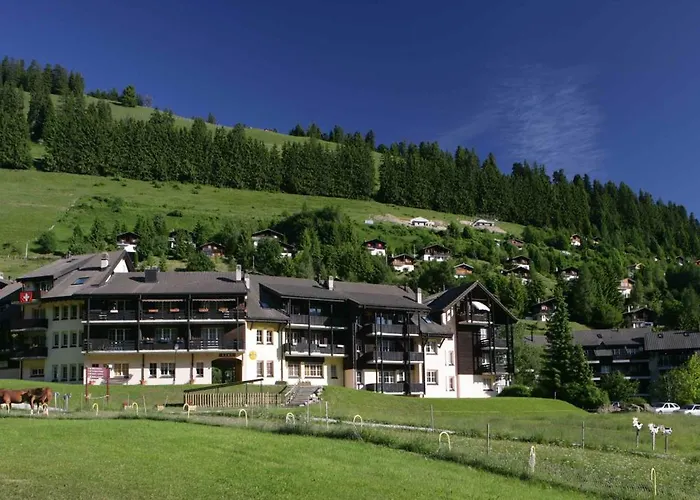 Superbe Appartement 3.5 Avec Cheminee